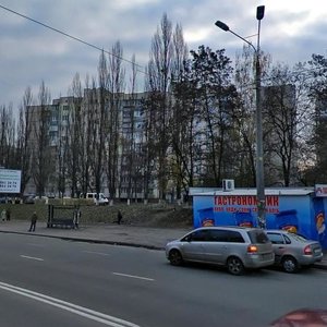 Svobody Avenue, 1/60, Kyiv: photo