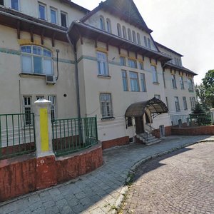 Lychakivska vulytsia, 107, Lviv: photo