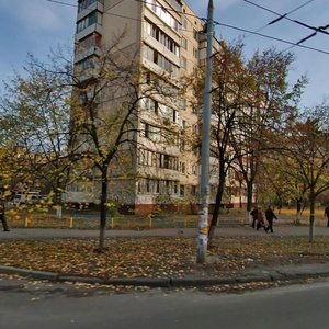 Heroiv Stalinhrada Avenue, 54, Kyiv: photo