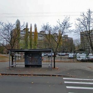 Kosmonavta Volkova Street, 16, Kyiv: photo
