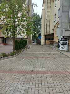 Владимир, Улица Володарского, 10: фото
