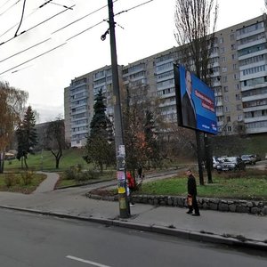 Mostytska Street, 14, Kyiv: photo