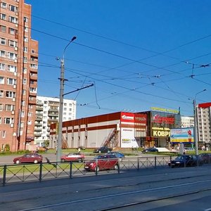 Prosvescheniya Avenue, 48, Saint Petersburg: photo