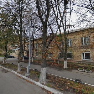 Mashynobudivna Street, 46, Kyiv: photo