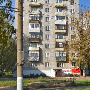 Dzerzhinsky Street, 99, Izhevsk: photo