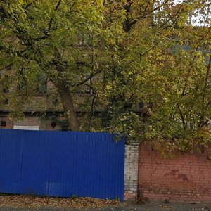Vikentiia Khvoiky Street, 12, Kyiv: photo