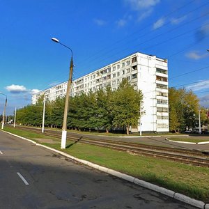 Khimikov Avenue, 110 ، : صورة