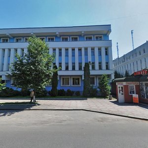 Vulytsia Mitskevycha, 14, : foto