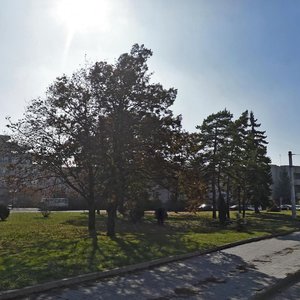 Vokzalnaya ulitsa, 13 ، : صورة