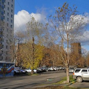 Polyarnaya Street, 16к1, Moscow: photo