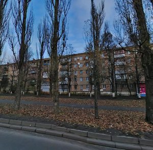 Vatslava Havela Boulevard, 75, Kyiv: photo