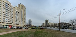 Marshala Zhukova Avenue, 41, Saint Petersburg: photo