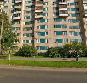 Ispytateley Avenue, 20к2, Saint Petersburg: photo