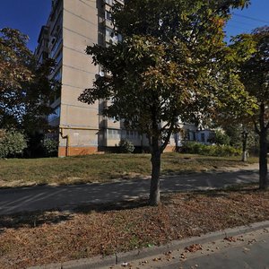 Kiltseva Road, 1, Kyiv: photo