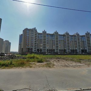 Optikov Street, 46к1 ، سان بطرسبرغ: صورة