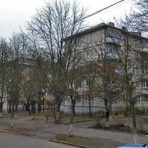 Heroiv Sevastopolia Street, 16, Kyiv: photo