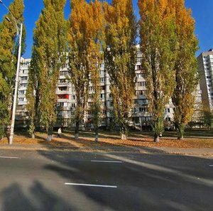 Teodora Draizera Street, 20, Kyiv: photo