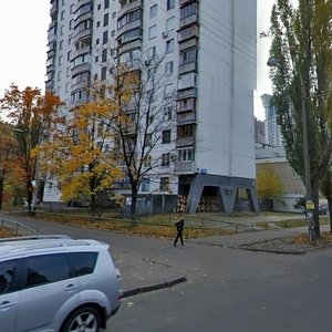 Ivana Mykolaichuka Street, 5, Kyiv: photo