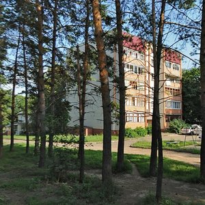Derevnya Zhilina, 5, Oryol Oblast: photo