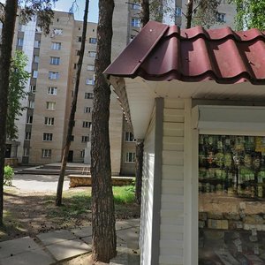 Ulitsa Lenina, 13А ، : صورة