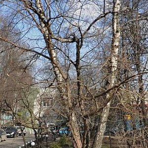 Nikitinskaya Street, 12А, : foto