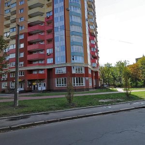 Киев, Улица Героев Обороны, 10А: фото