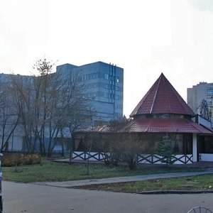 Platona Maiborody Street, 2 ، كييف: صورة