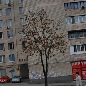 Lesi Ukrainky Boulevard, 36В, Kyiv: photo