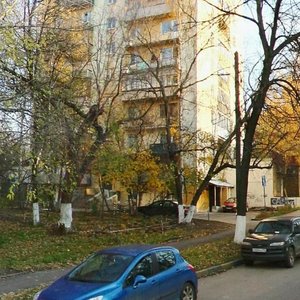 Belinskogo Street, 100, : foto