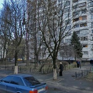 Heroiv Sevastopolia Street, 33, Kyiv: photo