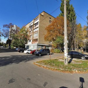 Henerala Tupykova Street, 20, Kyiv: photo