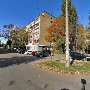 Henerala Tupykova Street, 20, Kyiv: photo