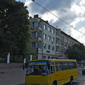 Lychakivska vulytsia, 109, Lviv: photo