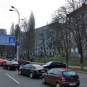 Mechnykova Street, 8, Kyiv: photo