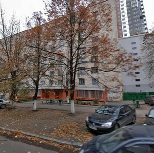 Oleksy Tykhoho Street, 3, Kyiv: photo