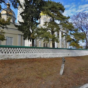 Shkilna vulytsia, 11, Bila Tserkva: photo