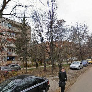 Kirova Street, 168, Tula: photo