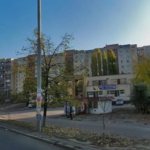 Heroiv Dnipra Street, 14, Kyiv: photo