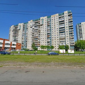 Nastavnikov Avenue, 29к1, Saint Petersburg: photo