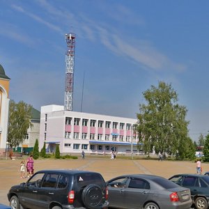 Воронежская область, Улица Мосина, 2: фото