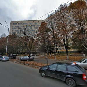 Borschahivska Street, 148, Kyiv: photo