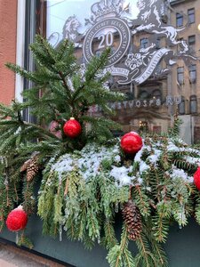 Zhukovskogo Street, 24, Saint Petersburg: photo