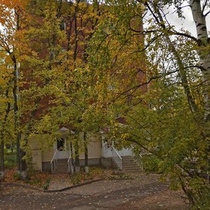 Pushkinskaya Street, 230, Izhevsk: photo