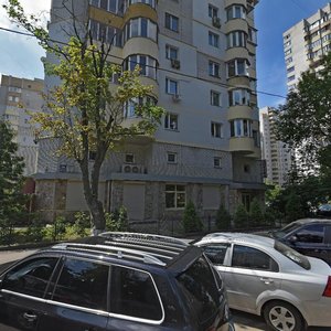 Mykhaila Kotelnykova Street, 33, Kyiv: photo