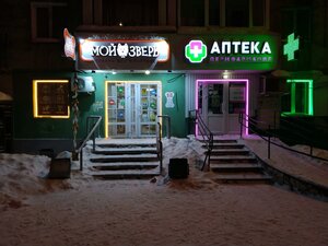 Belinskogo Street, 42, Perm: photo