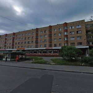 Aleksandra Nevskogo Avenue, 73, : foto