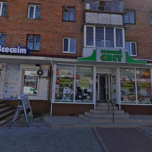 Хмельницкий, Улица Вайсера, 28: фото