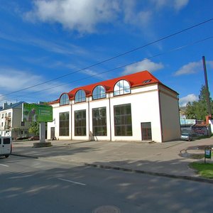 Aleksandra Nevskogo Street, 7, Kaliningrad: photo