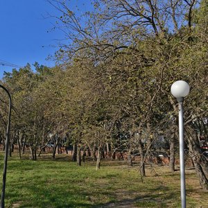 Tolstogo Street, 13, Novorossiysk: photo