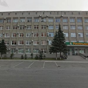 Frunze Street, 52, Omsk: photo